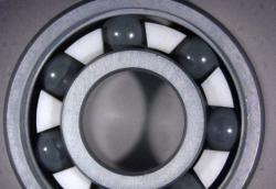 食品加工行業中使用的軸承密封件簡介